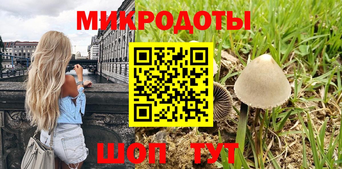 Галлюциногенные грибы мицелий Кириши