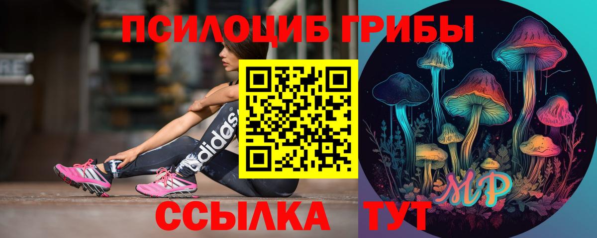 Псилоцибиновые грибы Psilocybe  Вход с VPN  Кириши  Псилоцибиновые грибы мицелий 